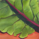 swiss chard